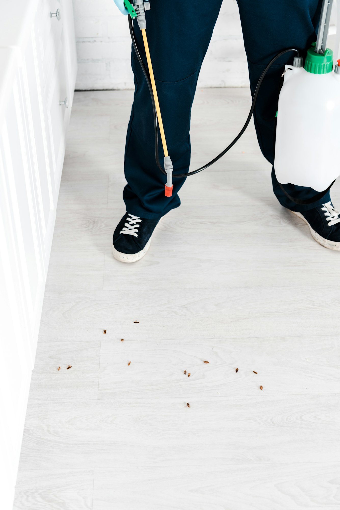 cropped view of man holding toxic spray near cockroaches on floor